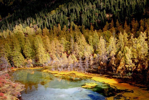 ����С�������ӿڷ羰��ȫ���� - atang - atang�����