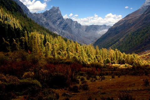 ����С�������ӿڷ羰��ȫ���� - atang - atang�����