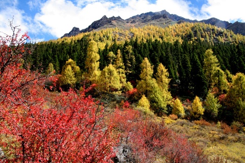 ����С�������ӿڷ羰��ȫ���� - atang - atang�����