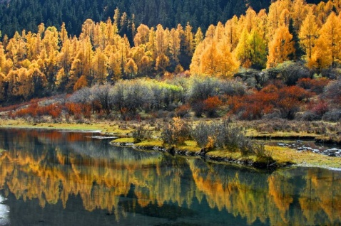 ����С�������ӿڷ羰��ȫ���� - atang - atang�����