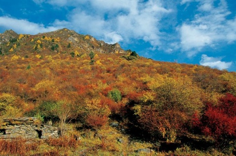 ����С�������ӿڷ羰��ȫ���� - atang - atang�����